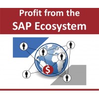 Fachbuch: Profit from the SAP Ecosystem
