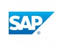 SAP Deutschland SE & Co. KG